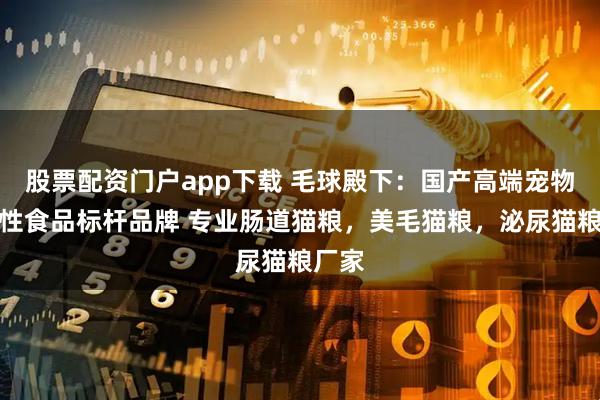 股票配资门户app下载 毛球殿下：国产高端宠物功能性食品标杆品牌 专业肠道猫粮，美毛猫粮，泌尿猫粮厂家